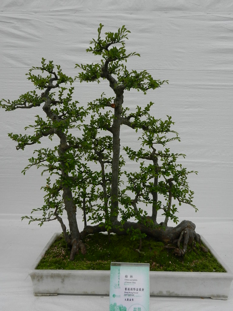 DSCN5630.JPG