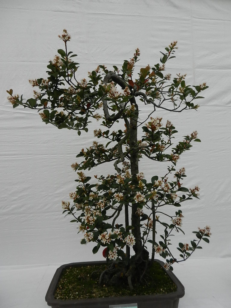 DSCN5632.JPG