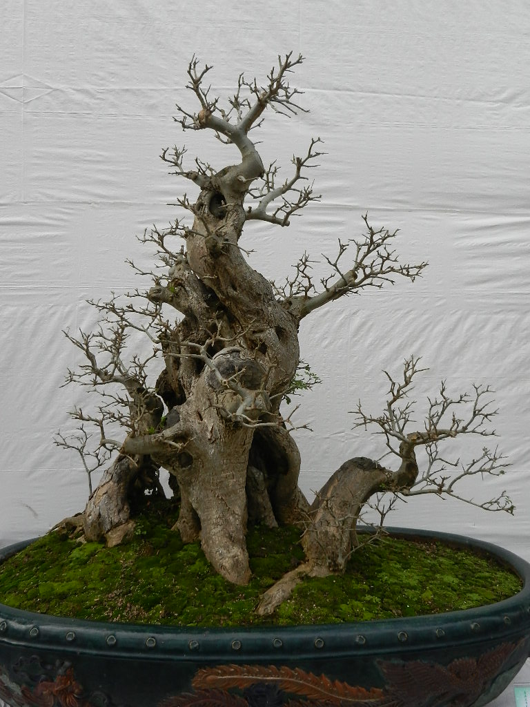 DSCN5643.JPG