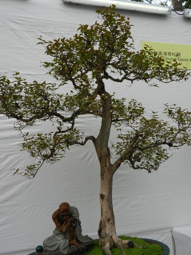 DSCN5644.JPG