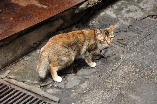 DSC_0151.JPG