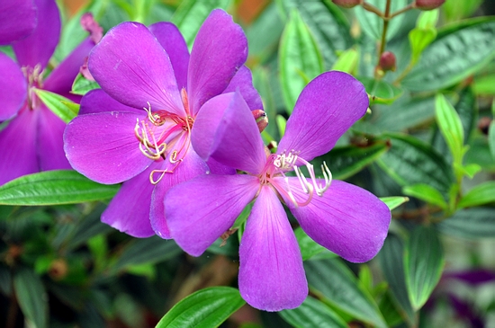 DSC_0253.JPG