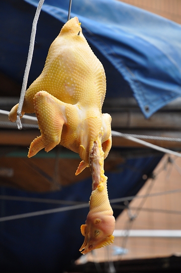 DSC_0257.JPG