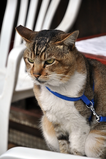 DSC_0259.JPG