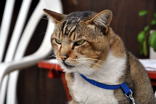 DSC_0261.JPG