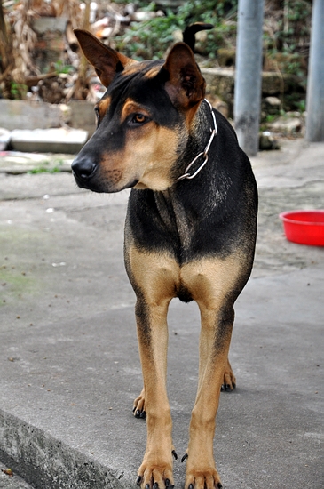 DSC_0286.JPG