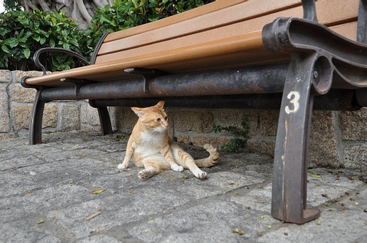 DSC_0292.JPG
