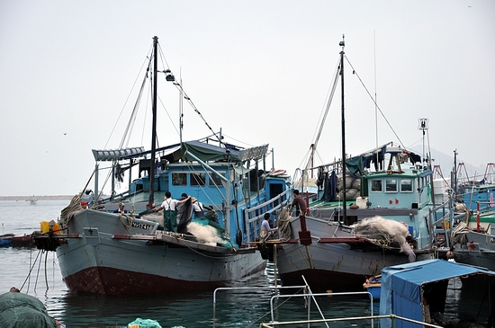 DSC_0306.JPG