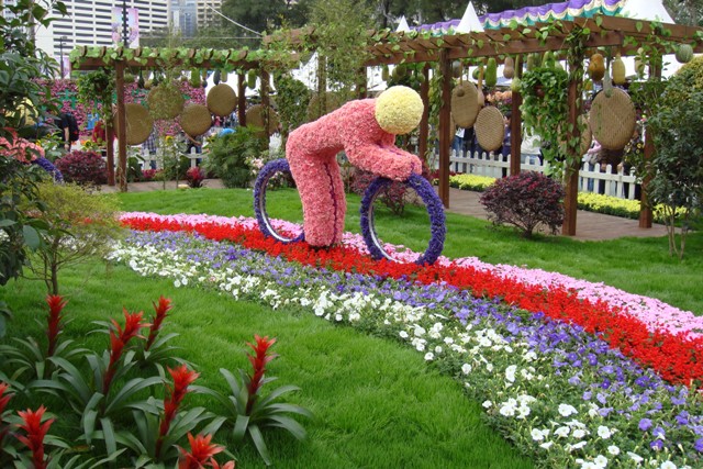 26.JPG