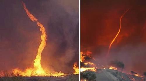 fire dragon.jpg