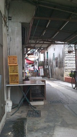 124720qvvqu8dvvbv79xjy.jpg