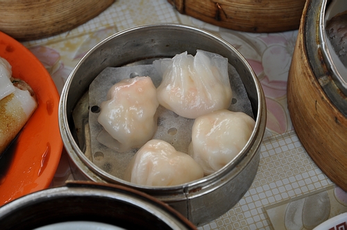 DSC_0386.JPG