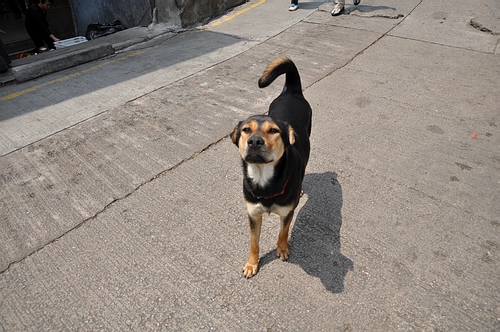 DSC_0405.JPG