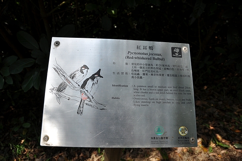 DSC_0427.JPG