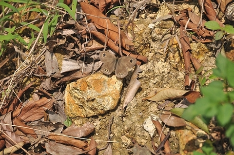 DSC_0436.JPG