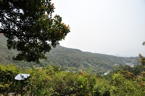 DSC_0440.JPG