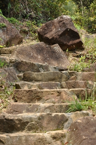 DSC_0441.JPG
