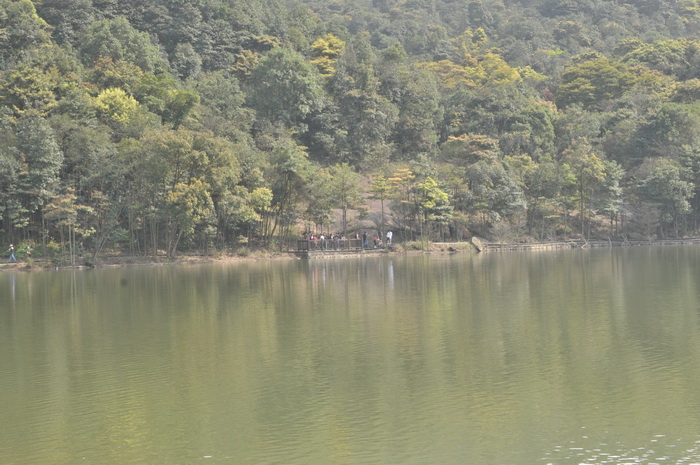 DSC_5903.jpg