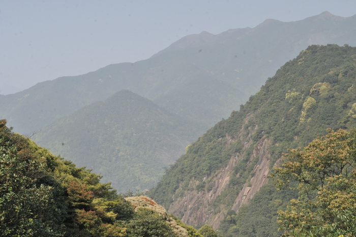 DSC_5905.jpg
