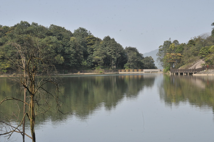 DSC_5906.jpg