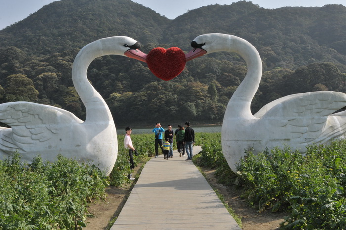 DSC_5919.jpg