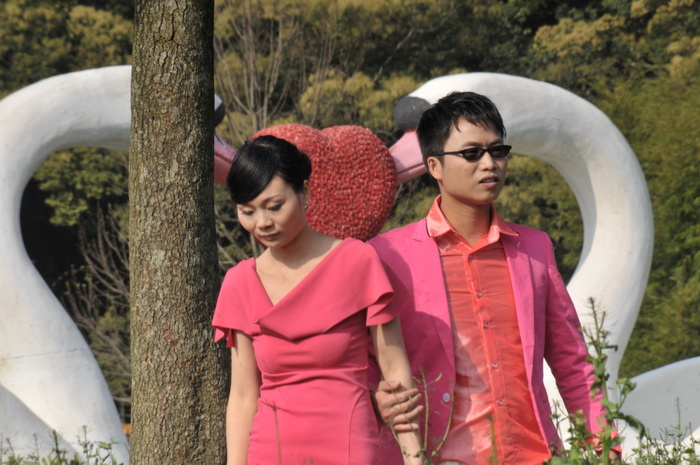 DSC_5936.jpg