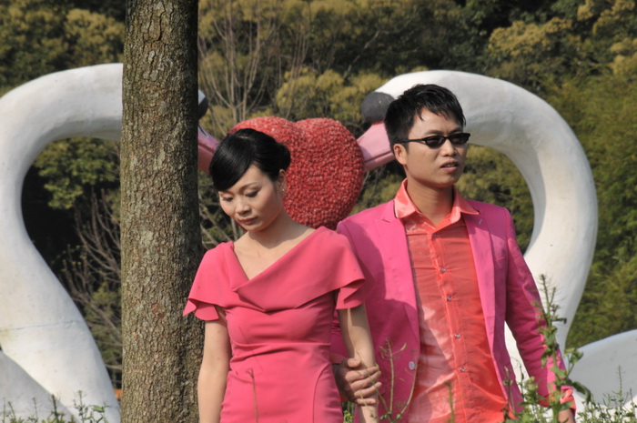 DSC_5937.jpg