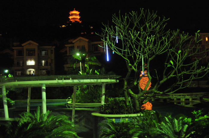 DSC_5973.jpg