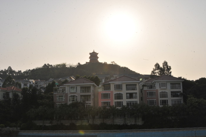 DSC_5988.jpg