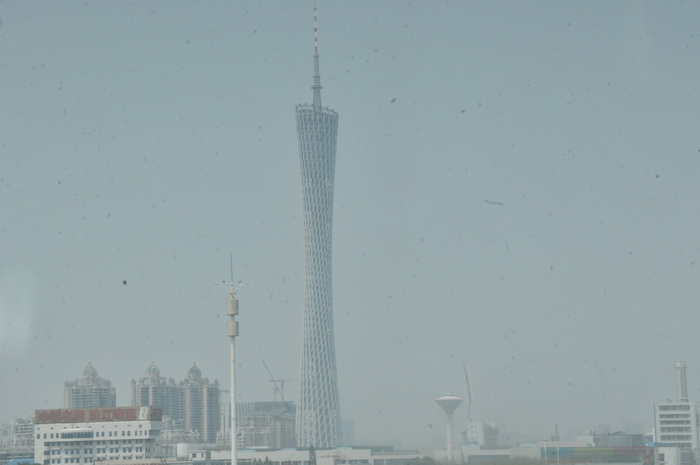 DSC_6042.jpg