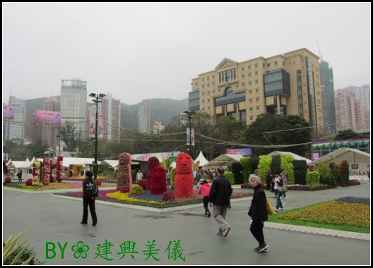 IMG_0013_conew2.jpg