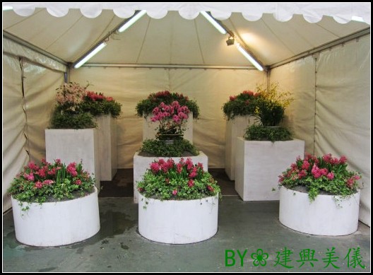 IMG_0023_conew2.jpg