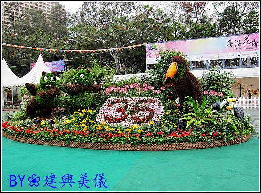 IMG_0036_conew2.jpg