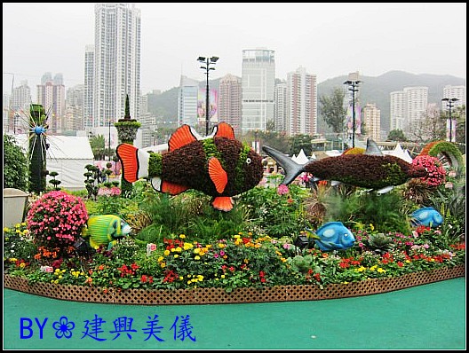 IMG_0037_conew2.jpg