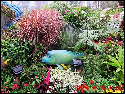 IMG_0046_conew2.jpg