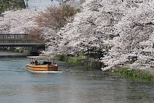 [平安神宮.jpg