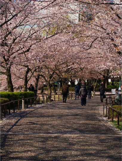 上野上恩賜公園.jpg