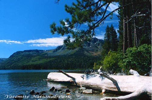 Img221806955.jpg