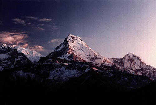Img221806962.jpg