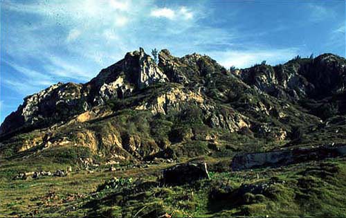 Img221806975.jpg