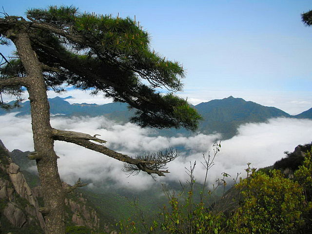 640px-SanQingShan9.jpg