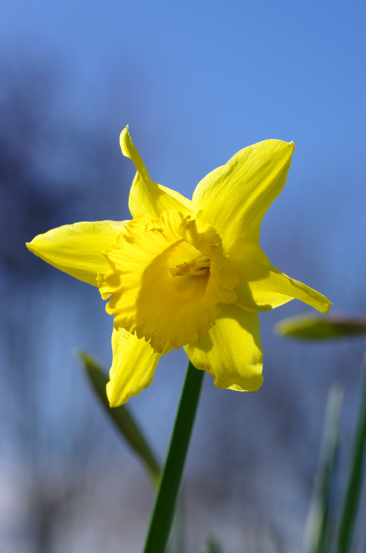 IMGP0340.JPG