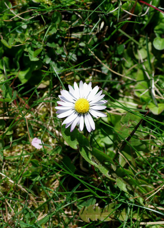IMGP0379.JPG
