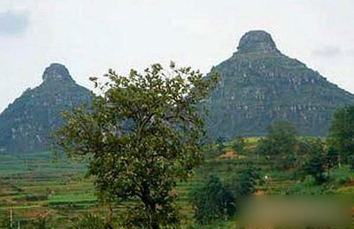 212045124_m.jpg