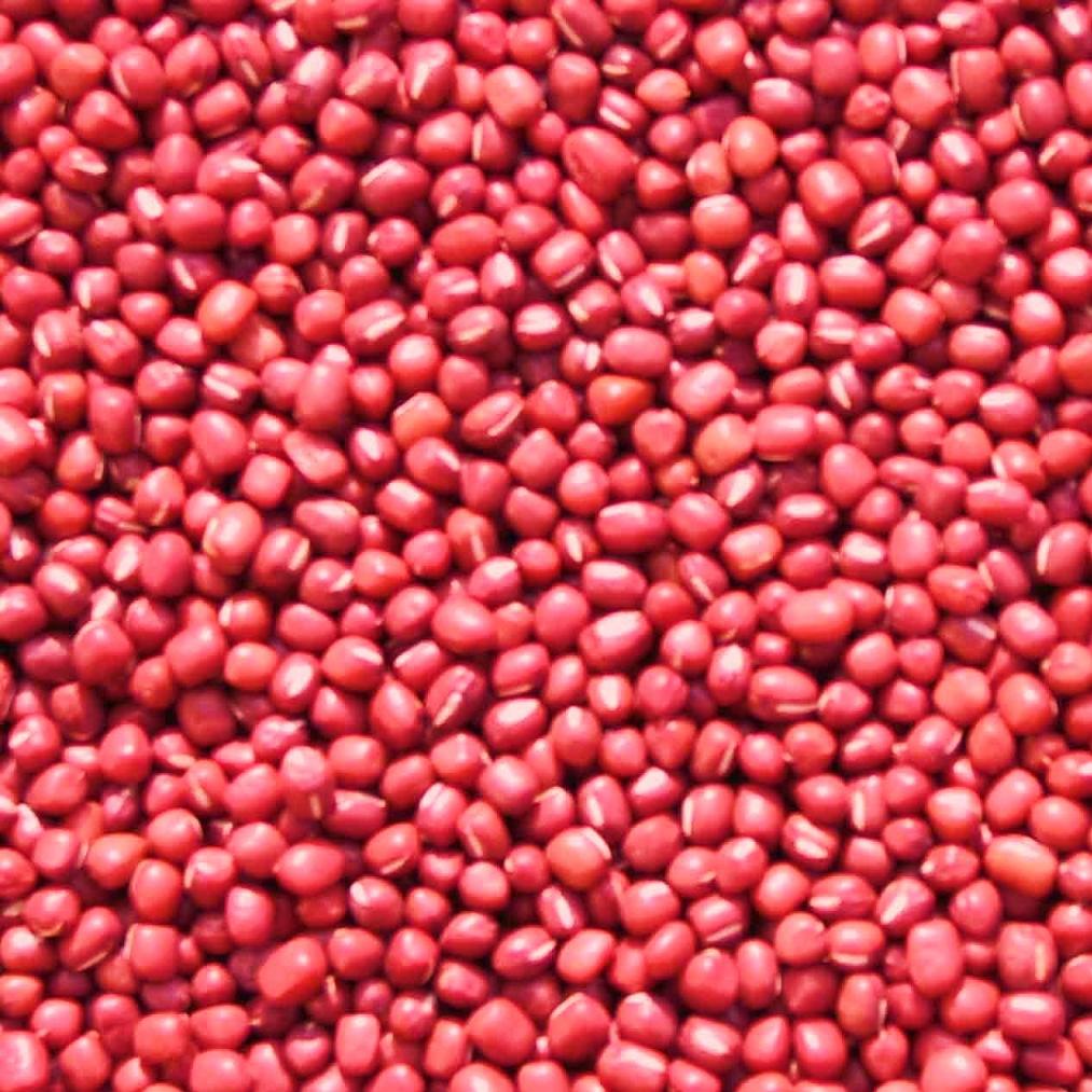 Red_Beans.jpg