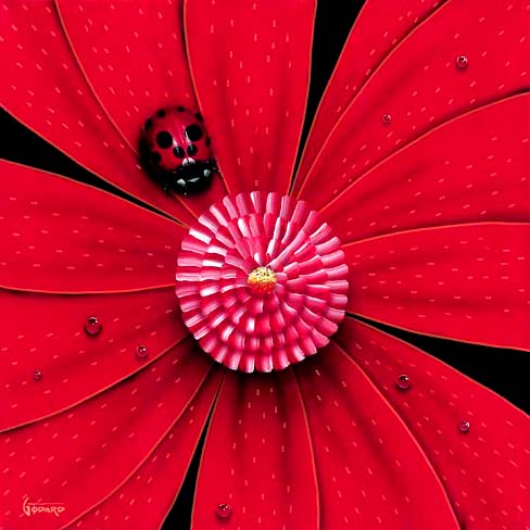 Red-Flower-3.jpg