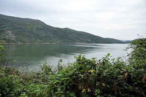 DSC_0741.JPG