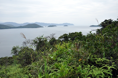 DSC_0760.JPG