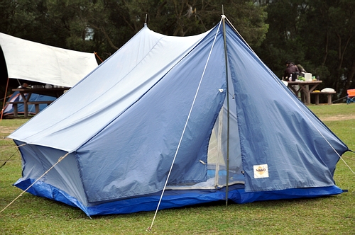 DSC_0810.JPG