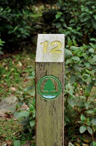 DSC_0899.JPG